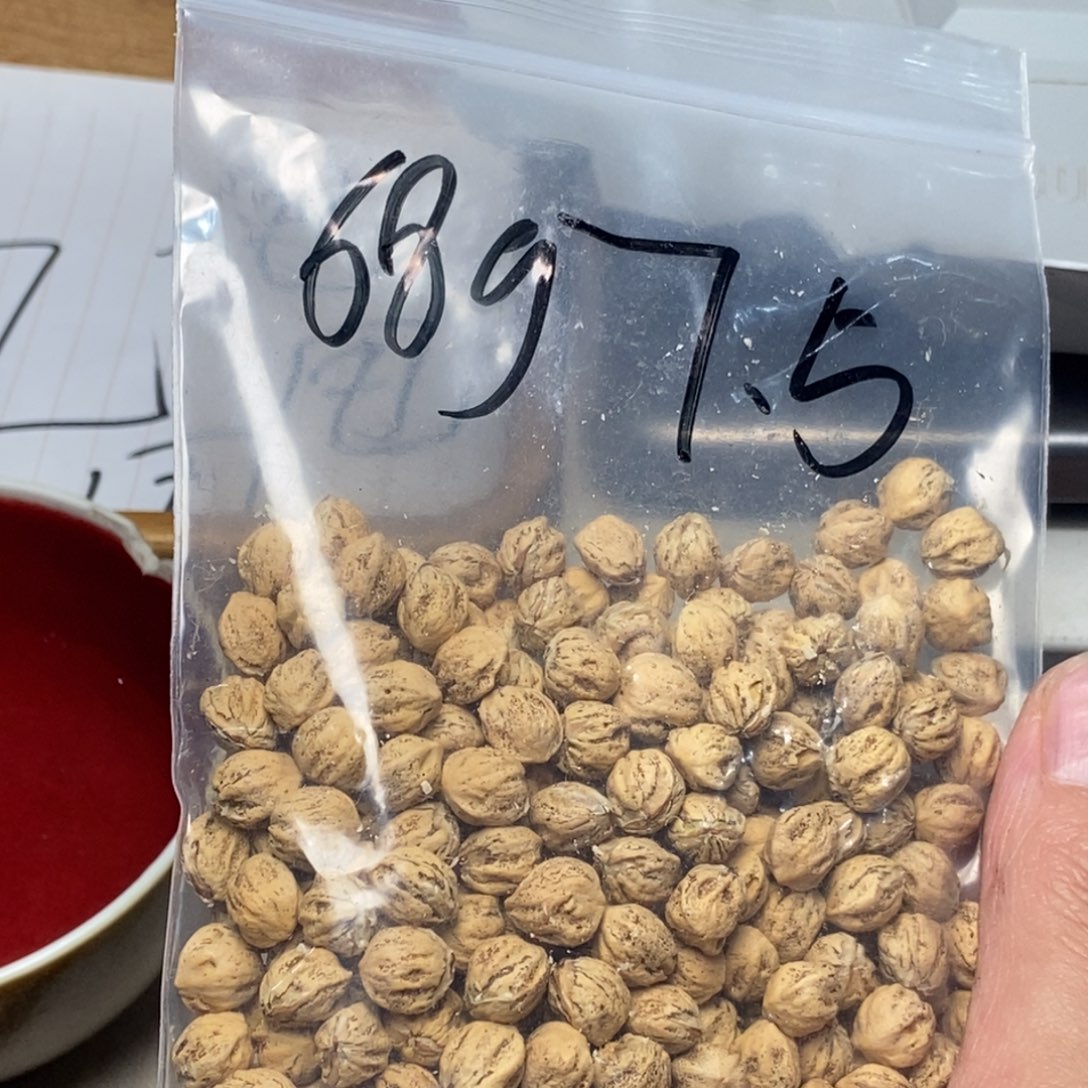 柏香籽/百香籽吊坠