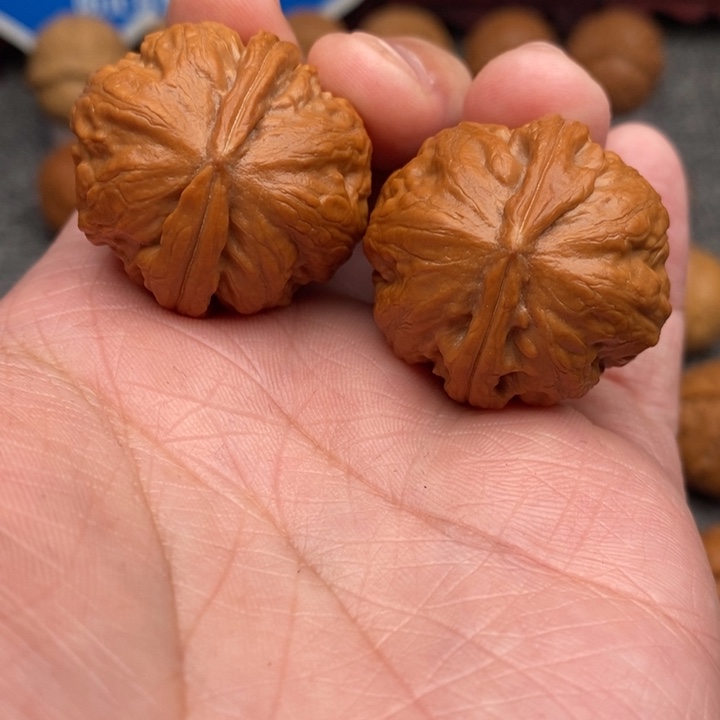 文玩核桃吊坠卧龙粗筋