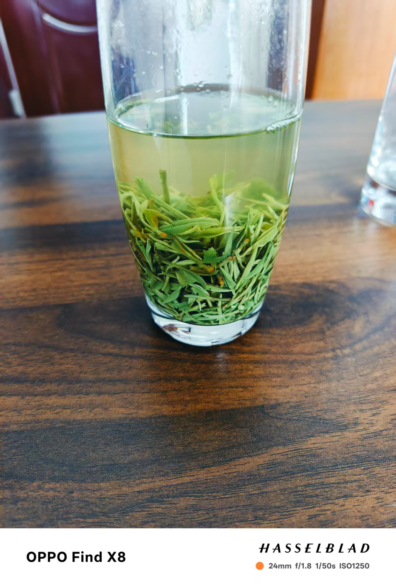 2025年新茶，牯牛降明前野生绿茶，清香鲜爽，醇厚回甘