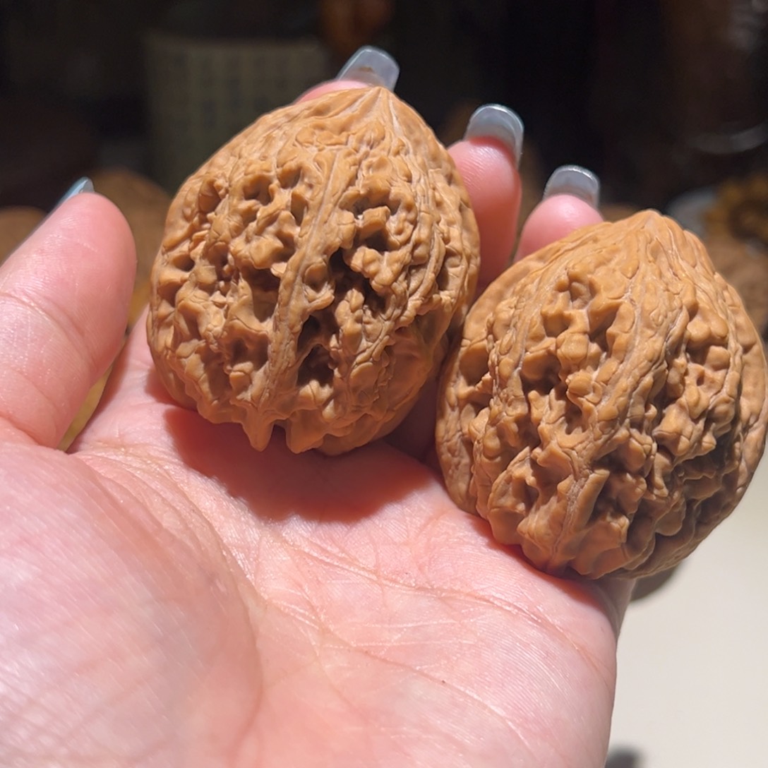 桃核吊坠大沽石40尺寸全品