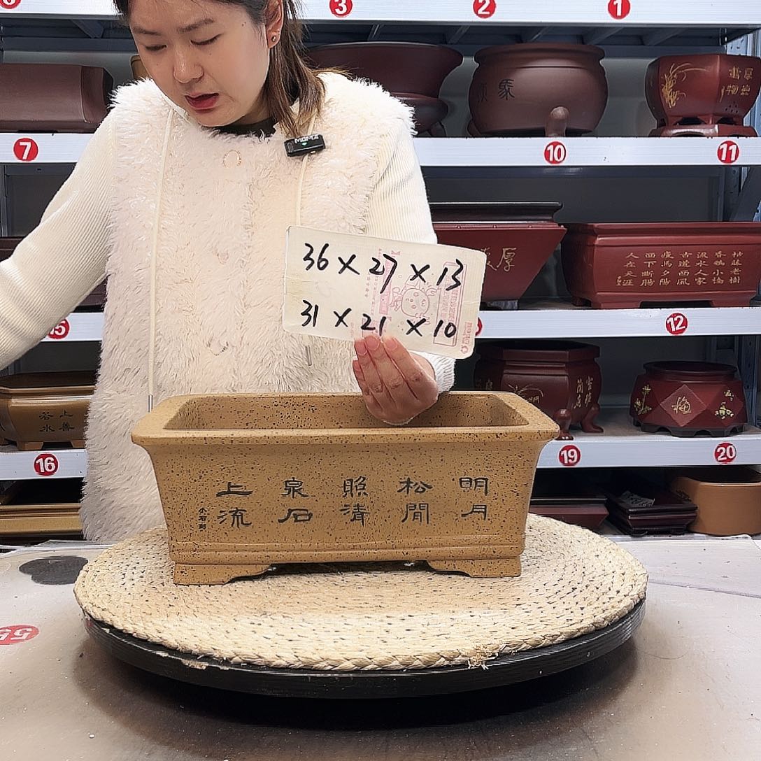 花盆紫砂紫砂花盆中