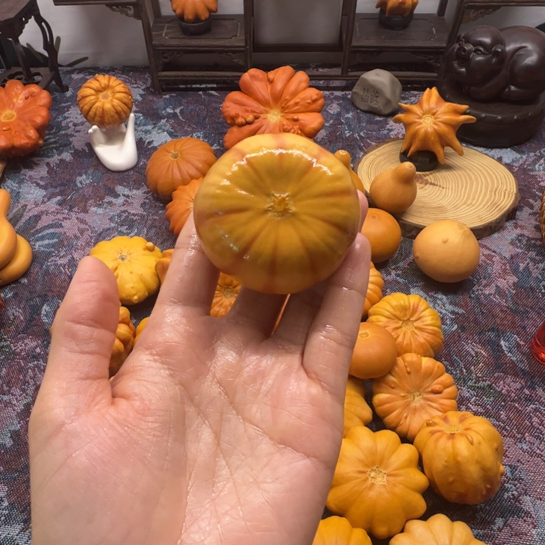 墨西哥葫芦小南瓜