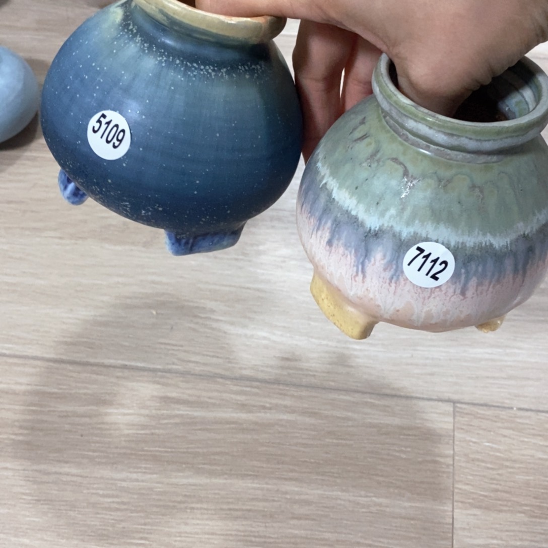 莫拍5送一个小礼物