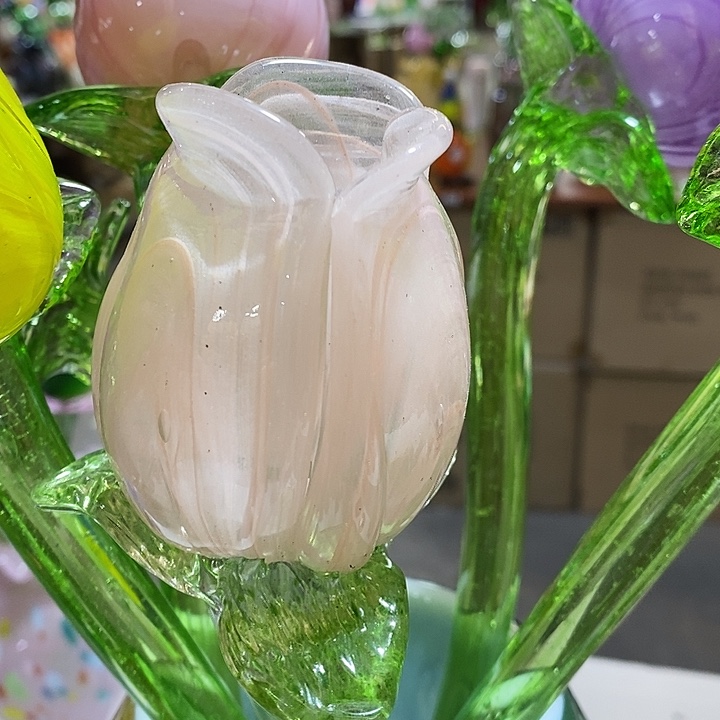 玫瑰花高40厘米左右