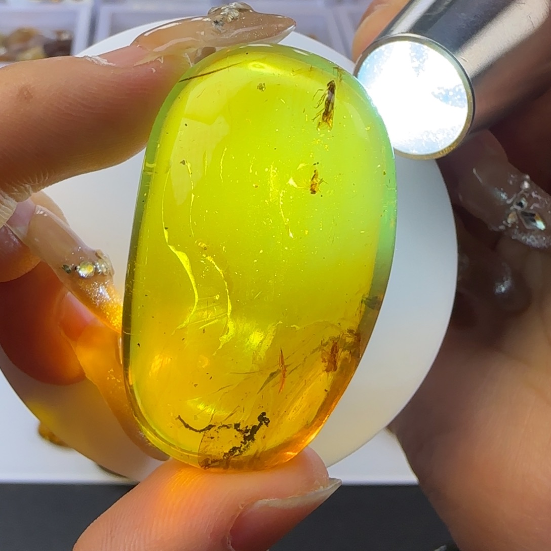 琥珀裸石未镶嵌蜡蝉吊坠