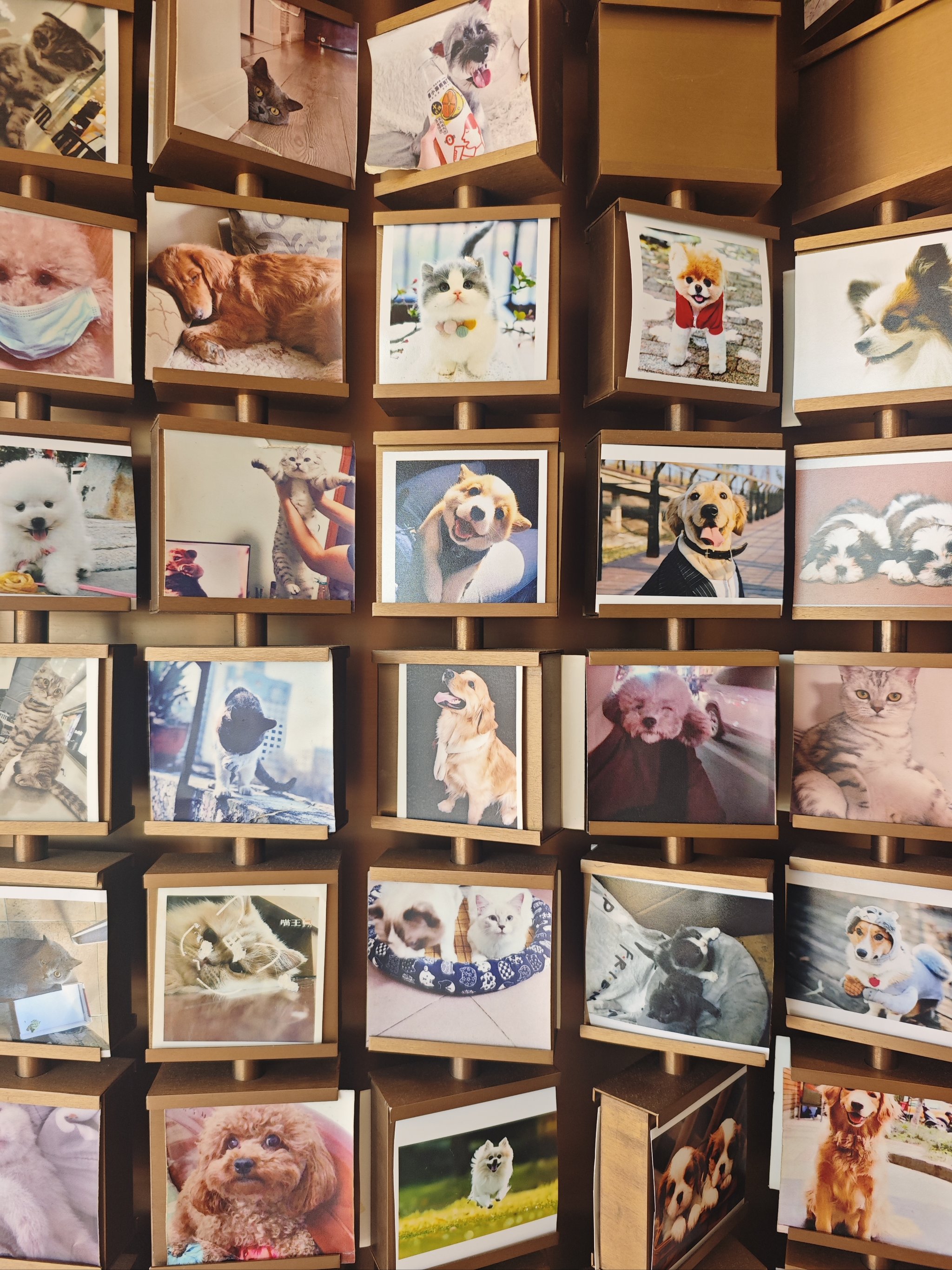 宠物专属纪念照片饰品定制