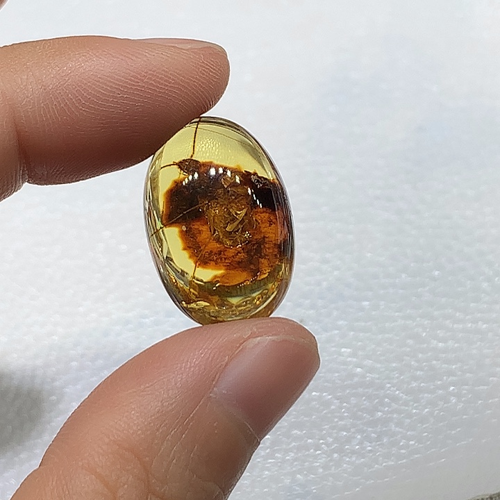 琥珀未镶嵌裸石大蚂蚁