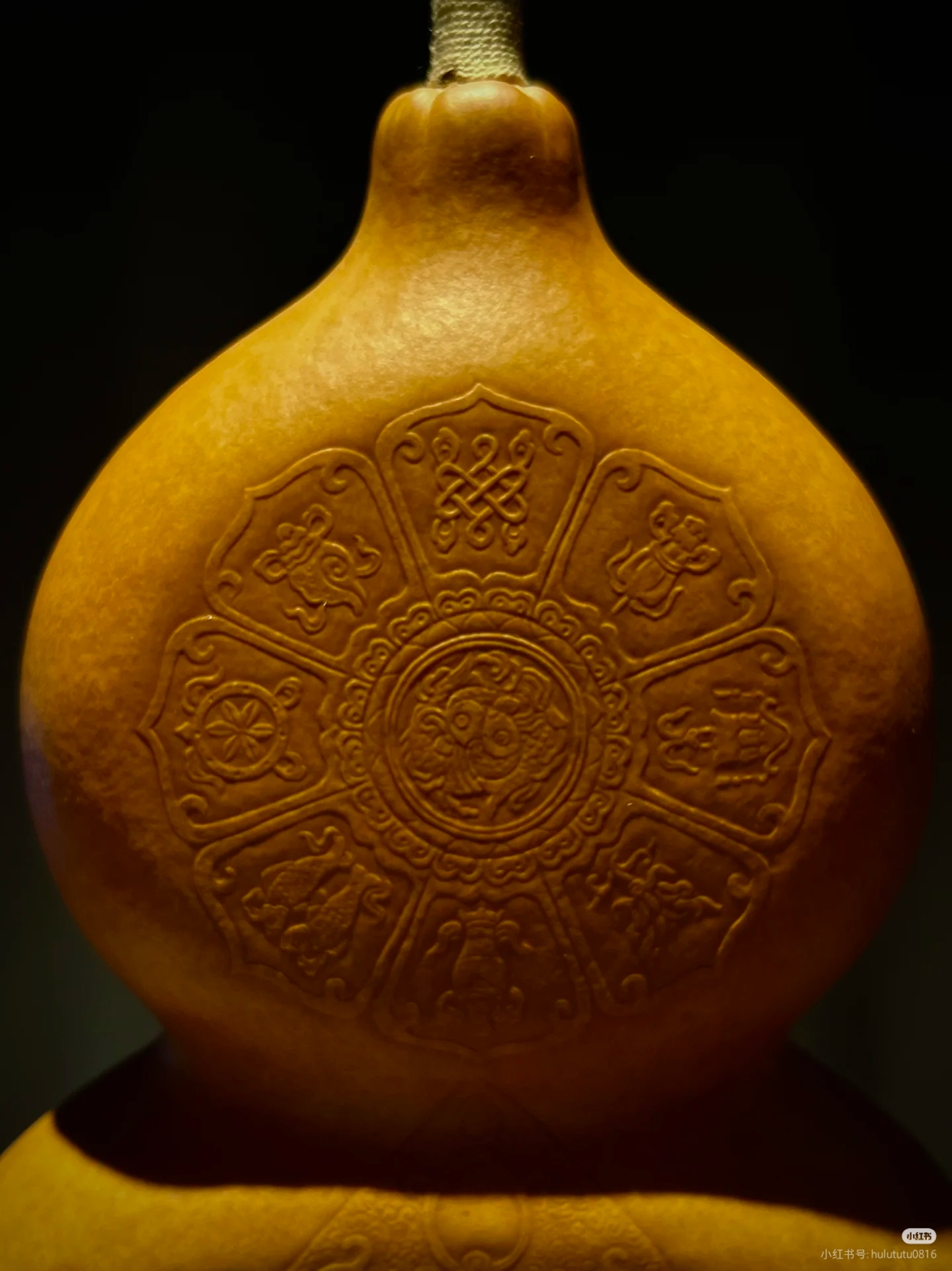 直播间下单专用链接（看好下单，不退不换）