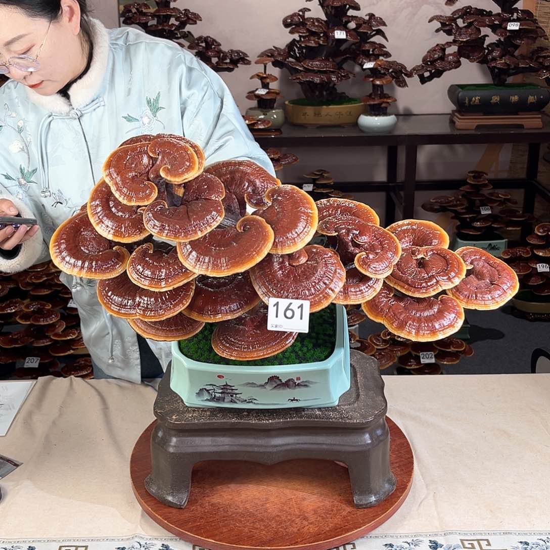 万事如意8881618888