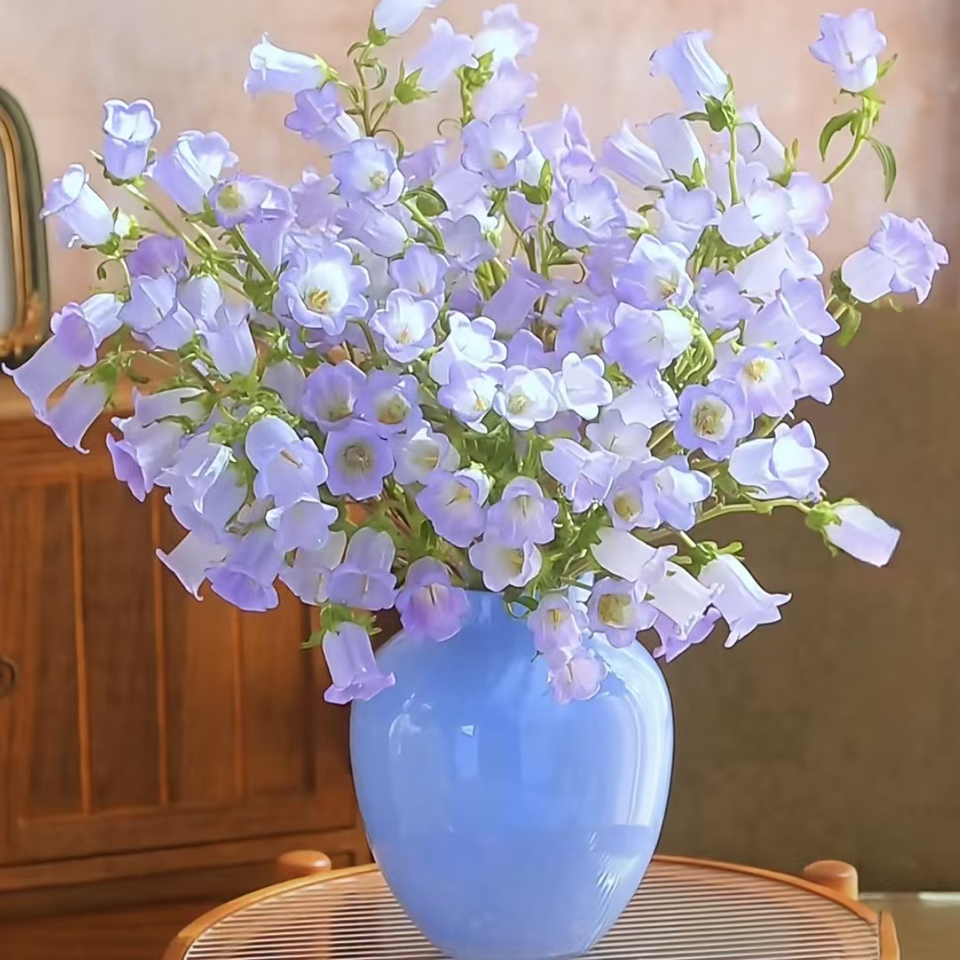 1扎紫色风铃花 (不卖枝数)爆花神器【两单顺丰冷链或京东快递】