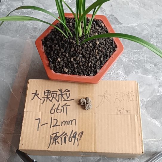 李***爷兰菌黑山土大颗粒6.6斤