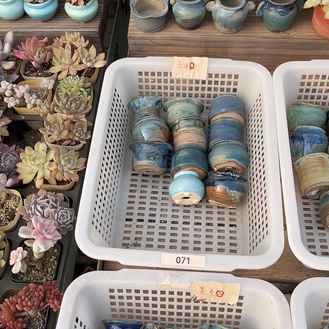 071号花盆十个口径4-5厘米微瑕