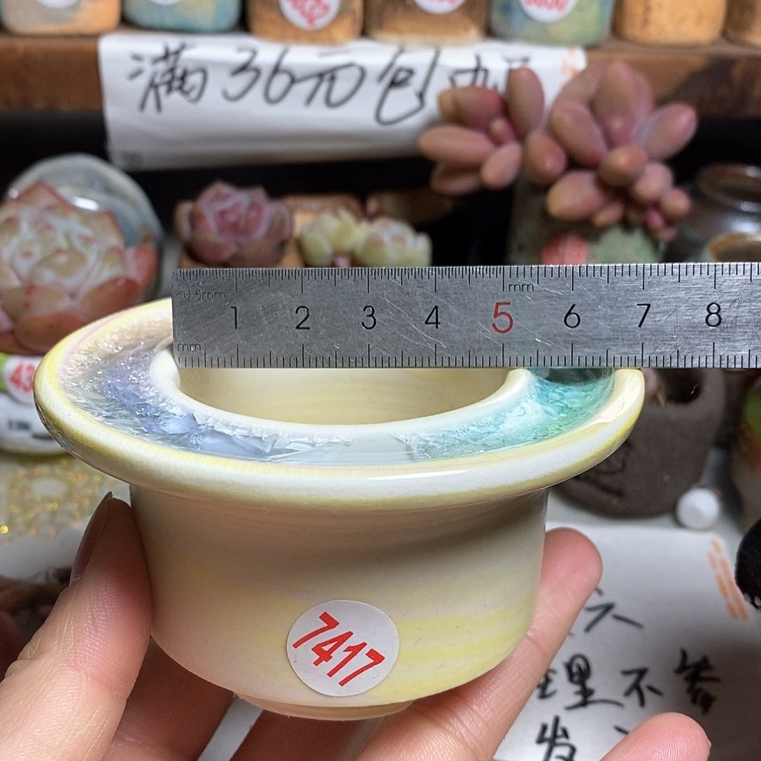 红陶拍5送一个小