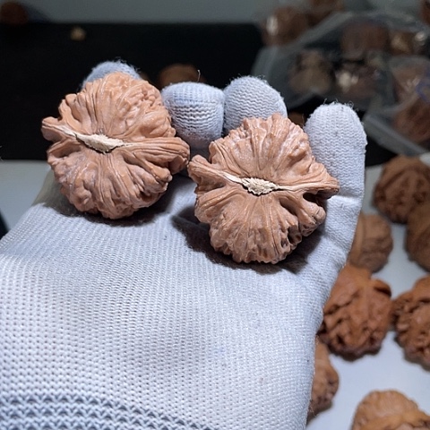 吊坠文玩核桃微修白狮子