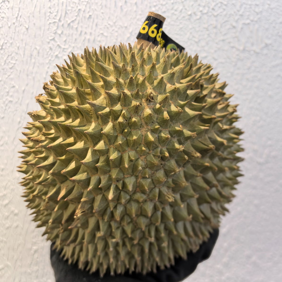 李 【一物一拍】奶油猫鲜榴莲核大肉香路上10%左右干耗到货判断生熟