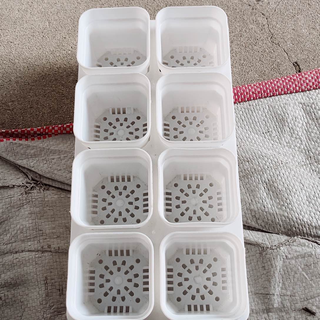 树脂福利款5.3白方盆40个带拖架