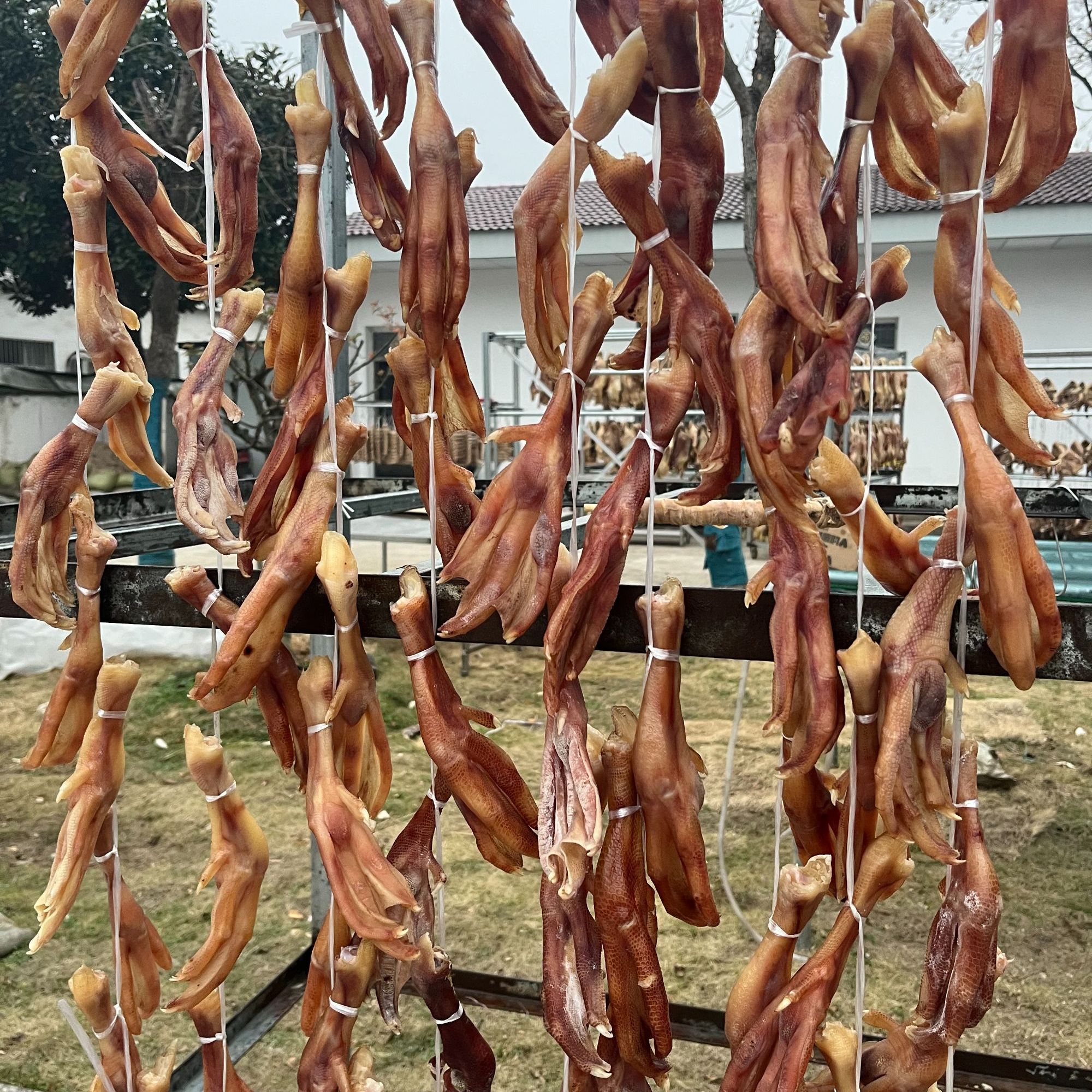 皖西大白鹅咸老鹅爪10个装送一斤黄豆