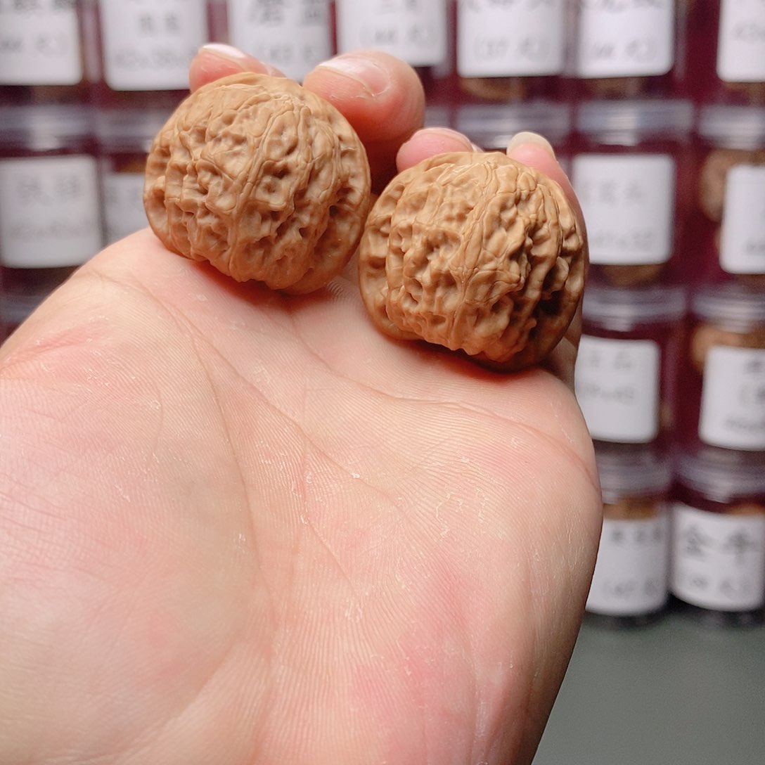 文玩核桃36尺全品野狼