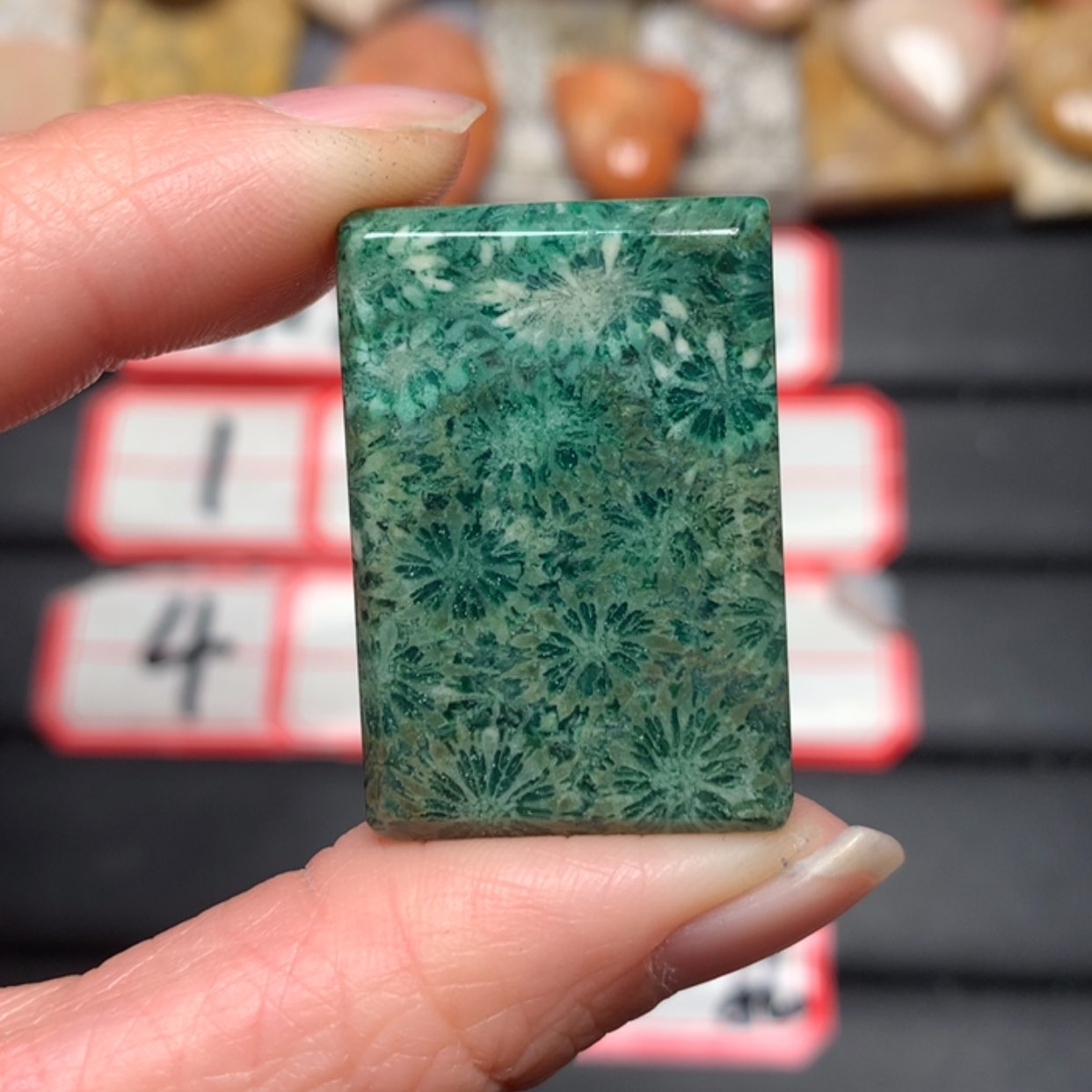 【闪购商品】硅化玉颈饰未镶嵌A****o