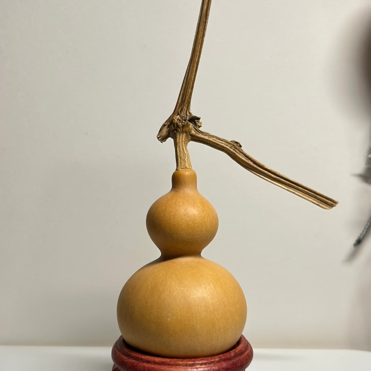 天然手捻精品葫芦直播间拍货链接直拍一物一拍（不保龙头介意勿拍）