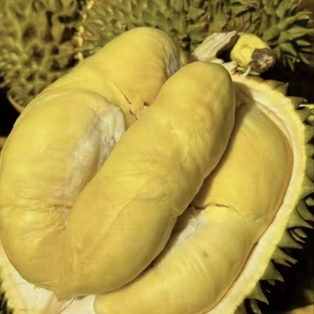 【泰国树上熟金枕新鲜果肉1斤（500g）新鲜现开】新鲜树熟榴莲泰国核小金枕榴莲同城配金枕泰国