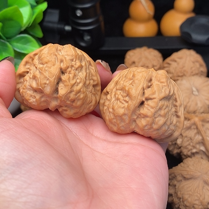 核桃蛤蟆头45有修