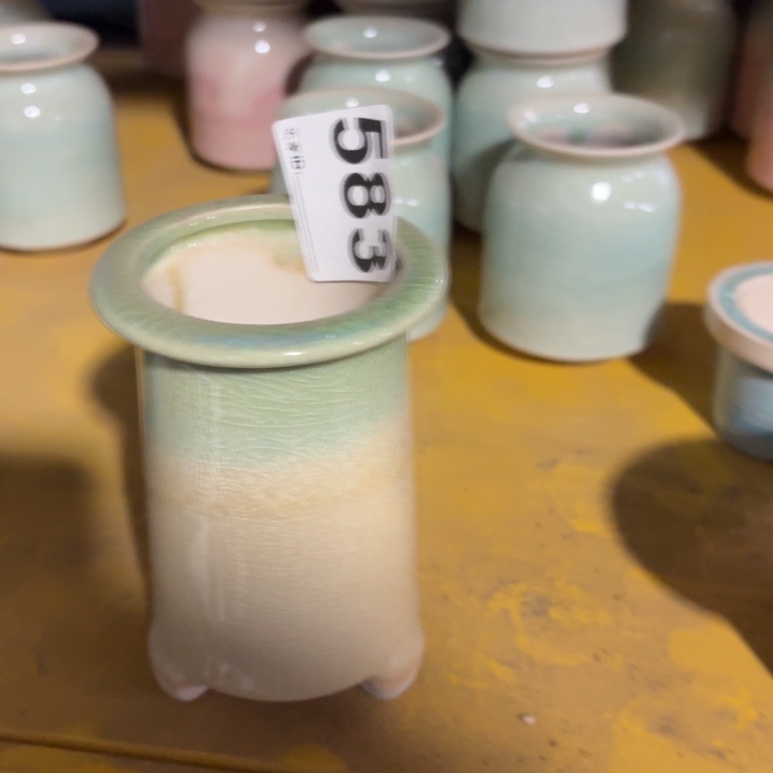 微***i多肉花盆黄色的583