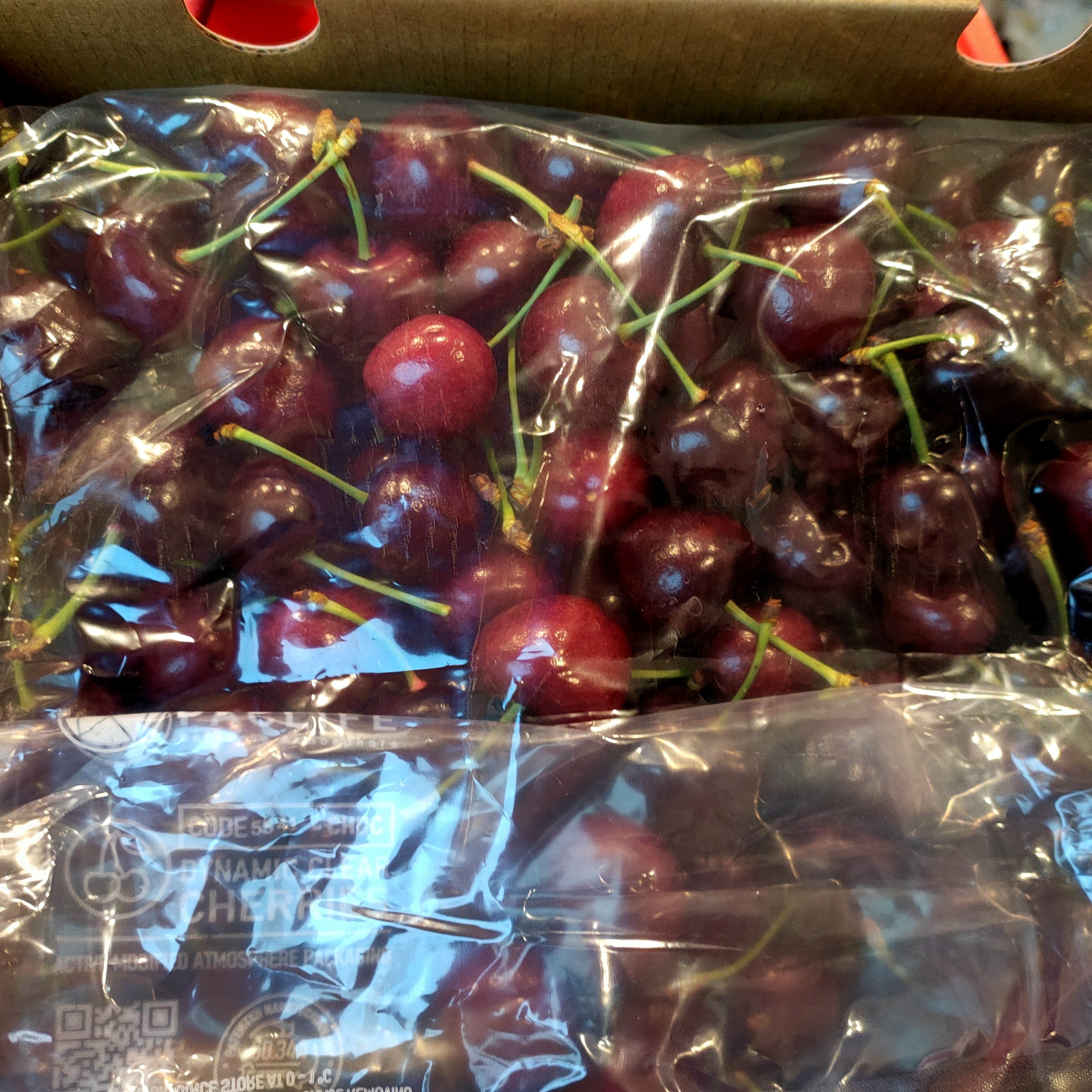 3JD 桑缇娜车厘子/斤 海运桑提娜智利