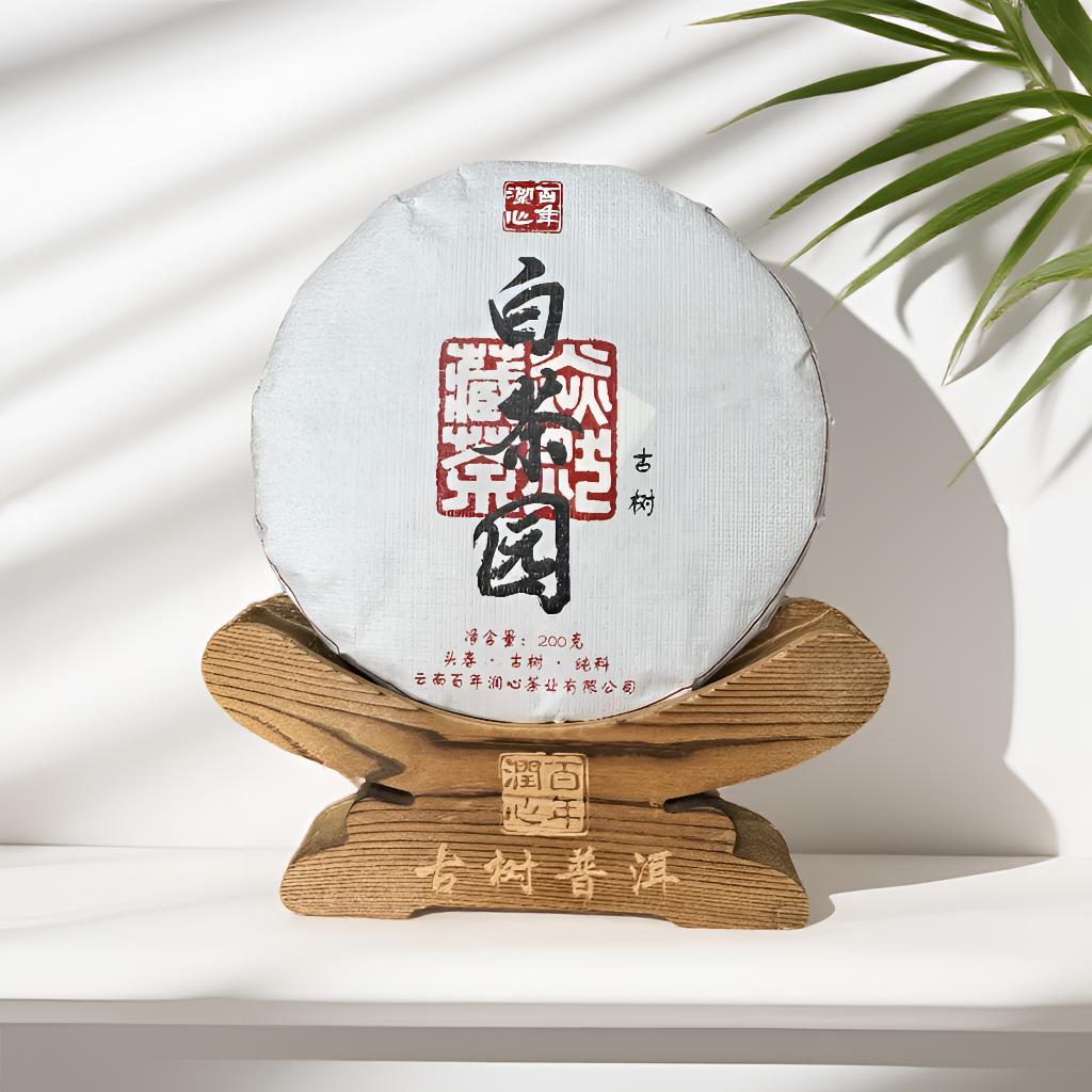 2025年【白茶园】头春古树 普洱茶 饼茶 200克