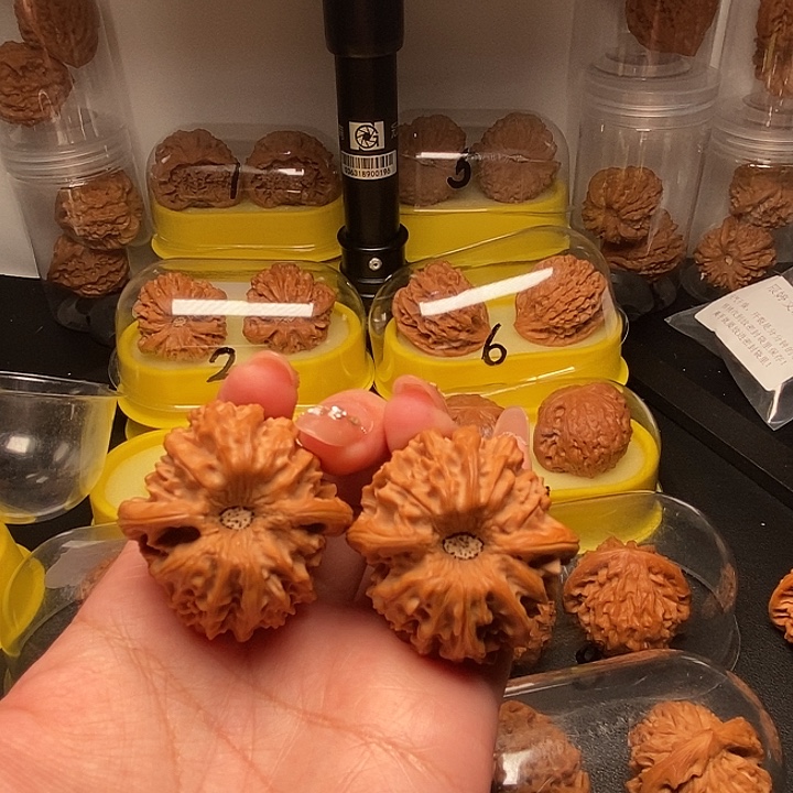 T***d41巨凹龙门涧         