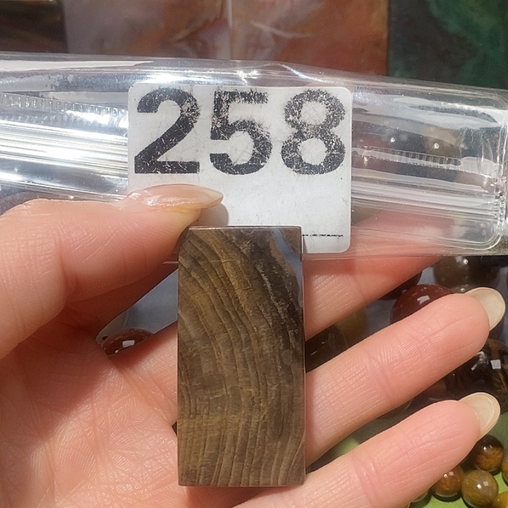 硅化玉未镶嵌天然北票树化玉吊坠