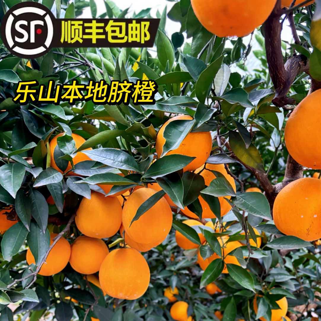 【京东-顺丰包邮】四川乐山农家自种*脐橙*现摘现发多汁香甜