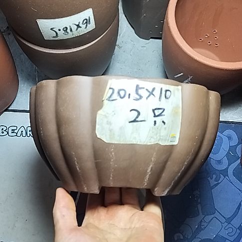 南瓜两个紫砂花盆