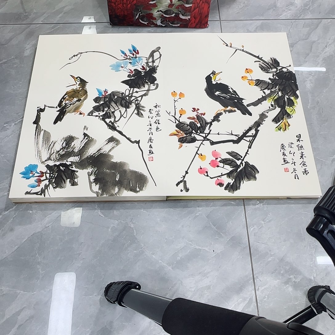 国画红皮书指出该公司