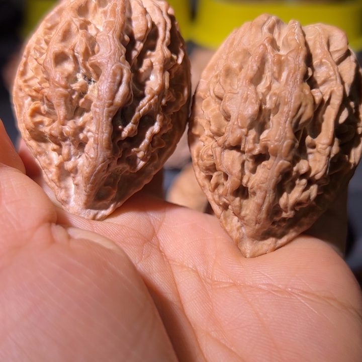 文玩核桃吊坠核桃36