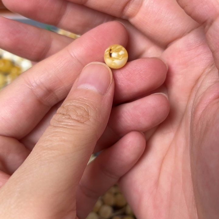 蜜蜡未镶嵌裸石9.2mm一个