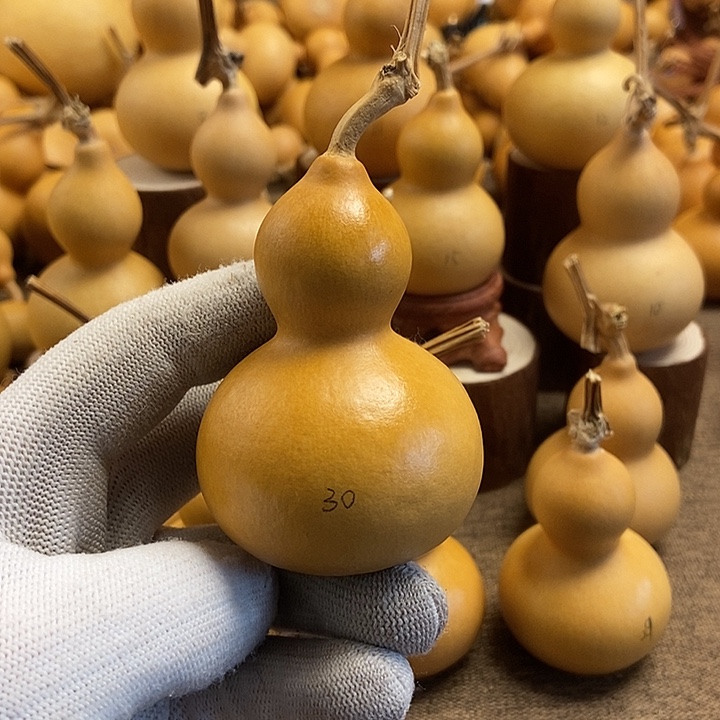 文玩葫芦 完美主义者 慎拍30