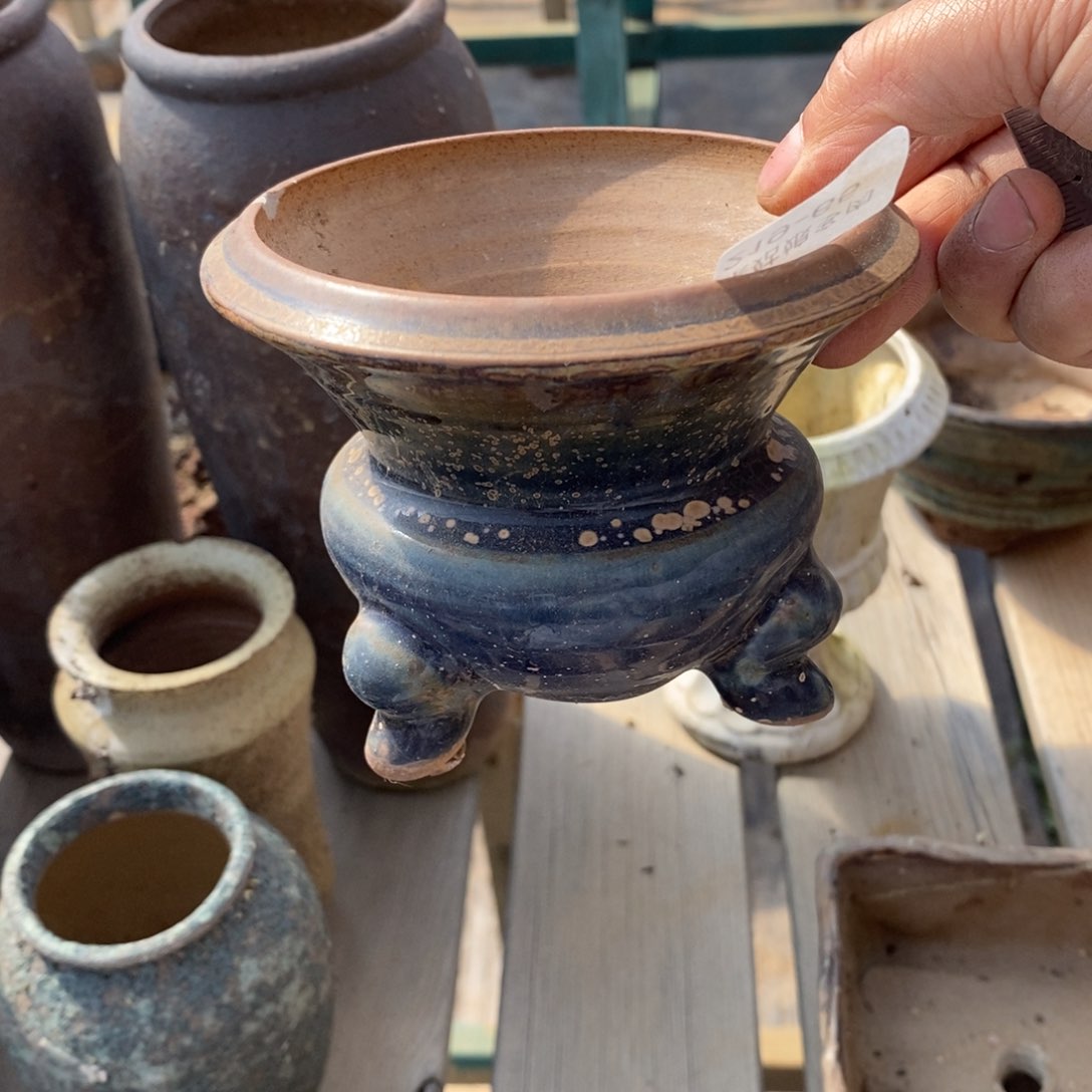 红陶@****洛65号多肉盆一个呀