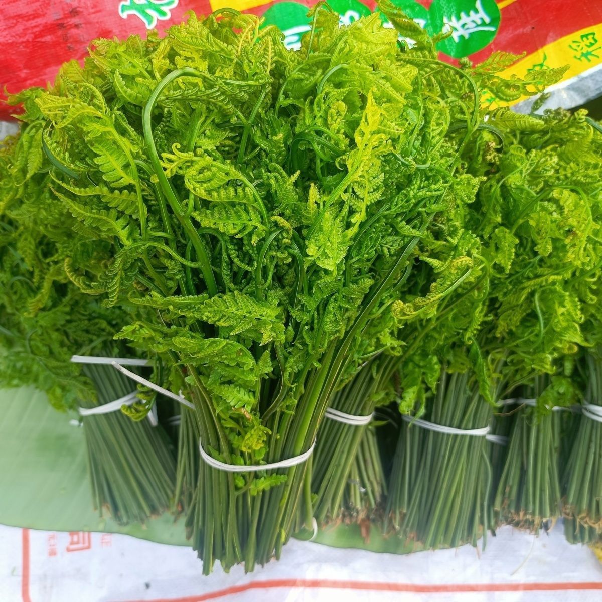 云南新鲜现摘水蕨菜鲜嫩野菜带叶蕨菜叶香蕉自然熟辣椒新鲜特辣