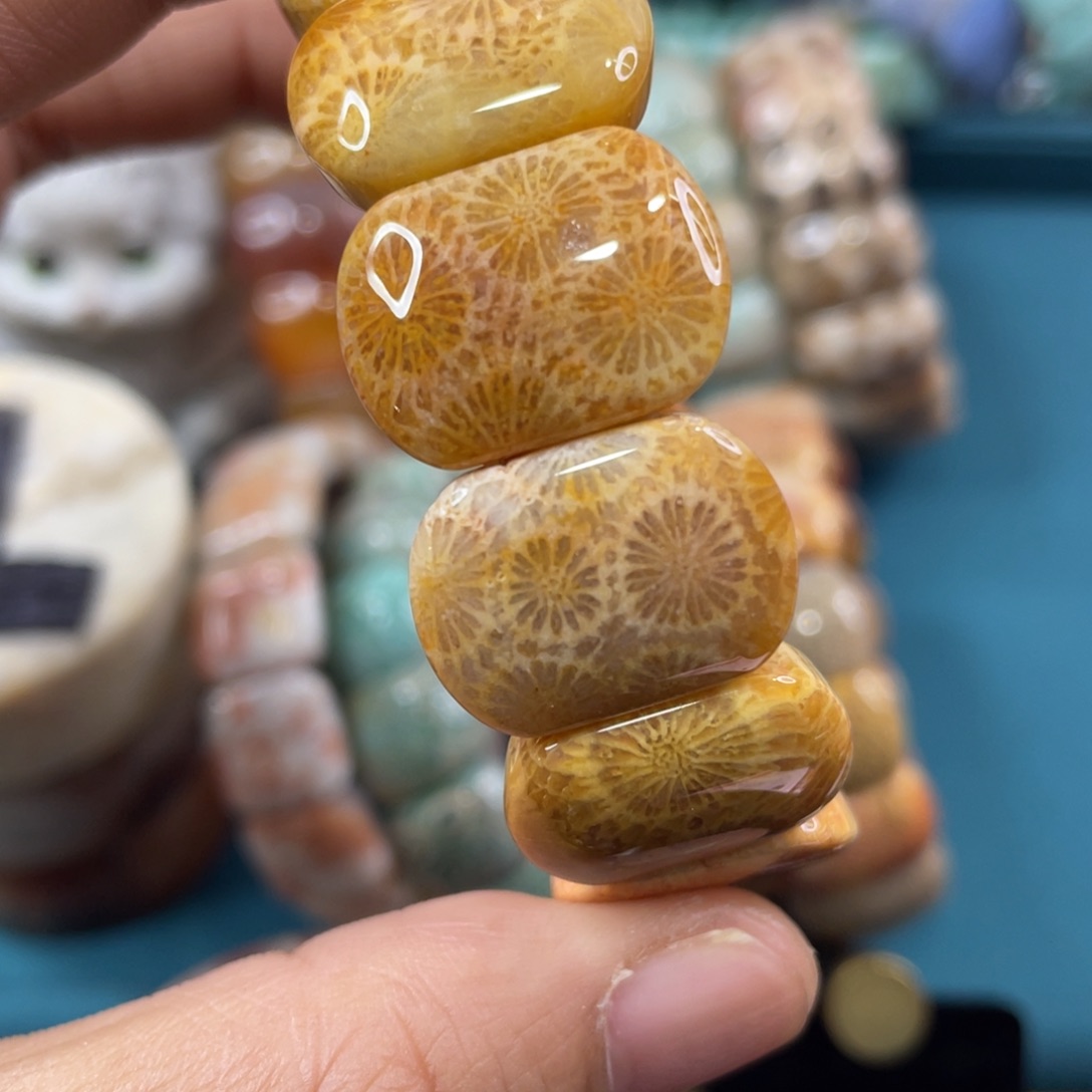 未镶嵌手镯硅化玉