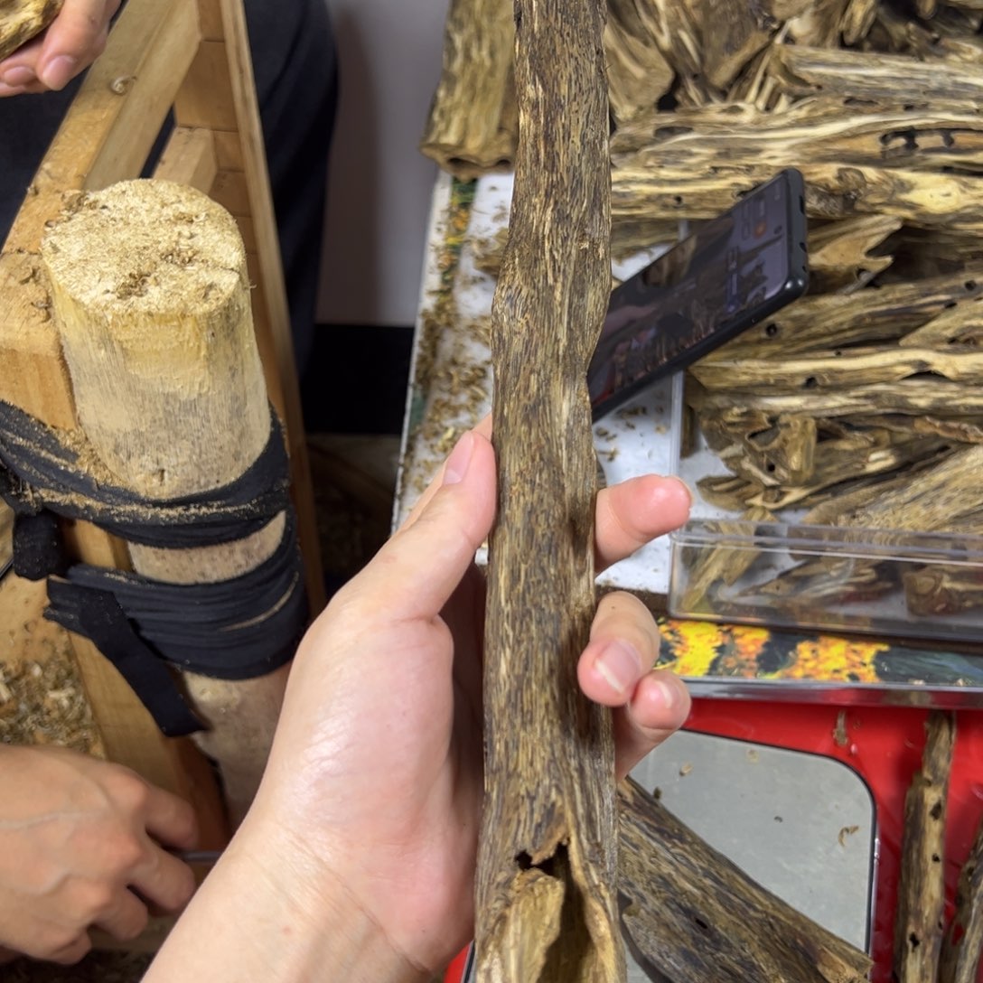 线香奇楠虫漏香63克