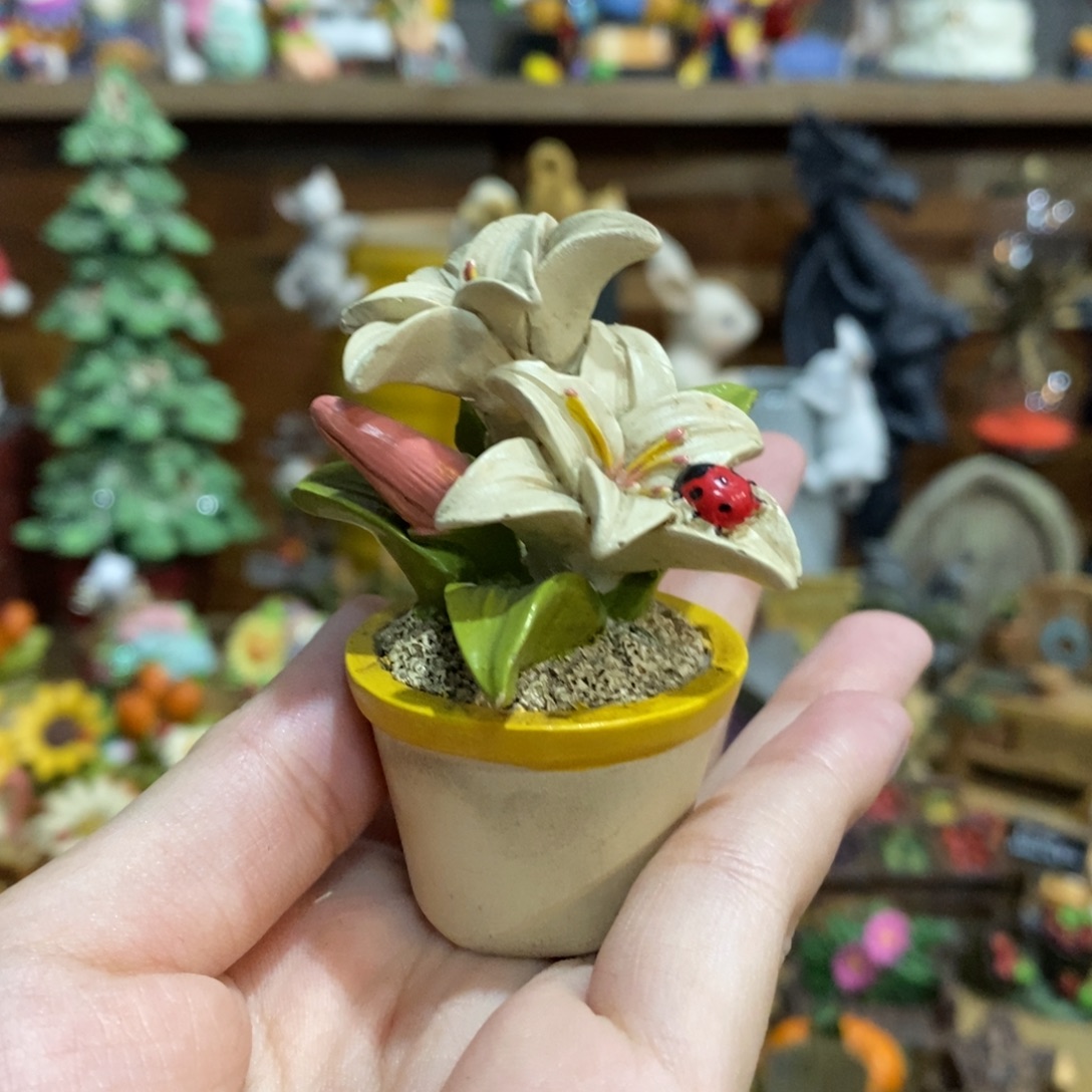 树脂树脂福利产品