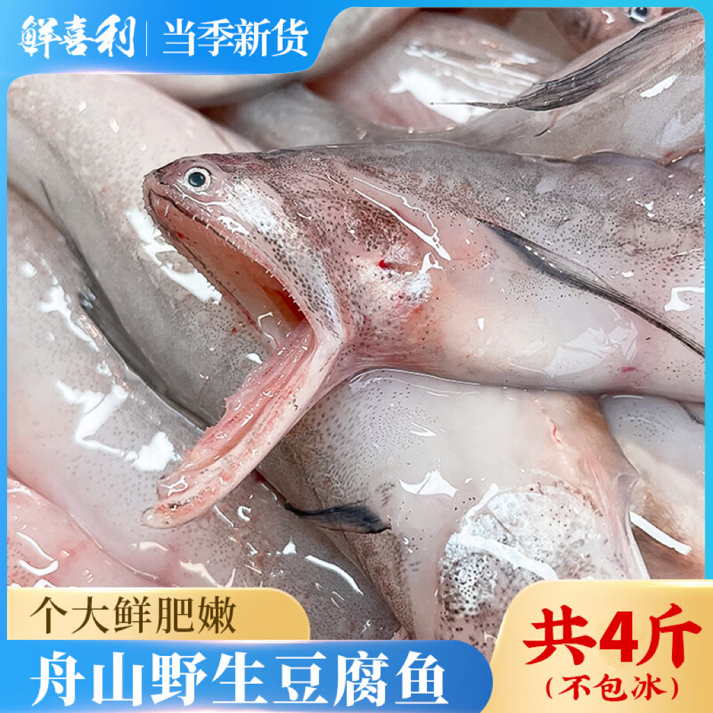 N 舟山龙头鱼新鲜冷冻豆腐鱼鲜嫩水潺4斤九肚鱼【自家渔船捕捞】