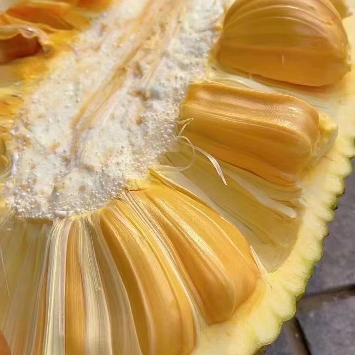 越南红肉菠萝蜜一斤装一盒核小肉大越南