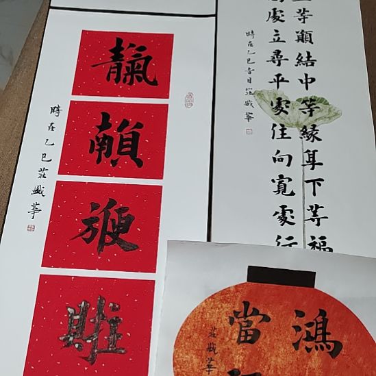 书法庄盛华书法作品