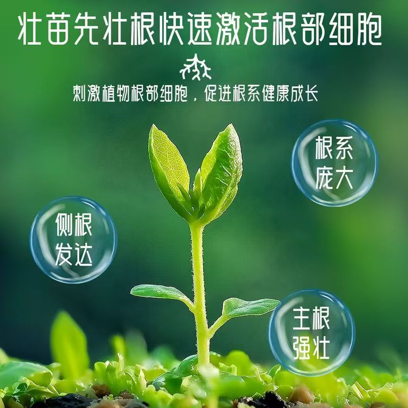 J【拍一发二】厂家直销改良浓缩绿植营养液养花专用园艺盆栽花肥料商品图