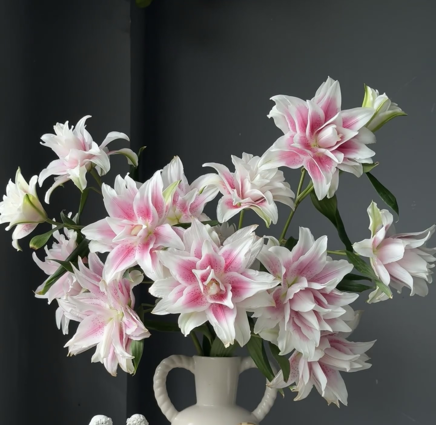 【伊莎贝拉重瓣百合】任意两单顺丰冷链包邮，0度以下必拍保温棉！