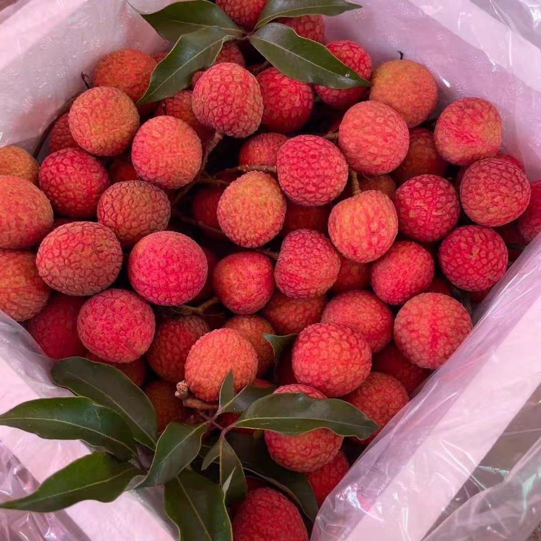 玉荷包荔枝新鲜水果荔枝同城送