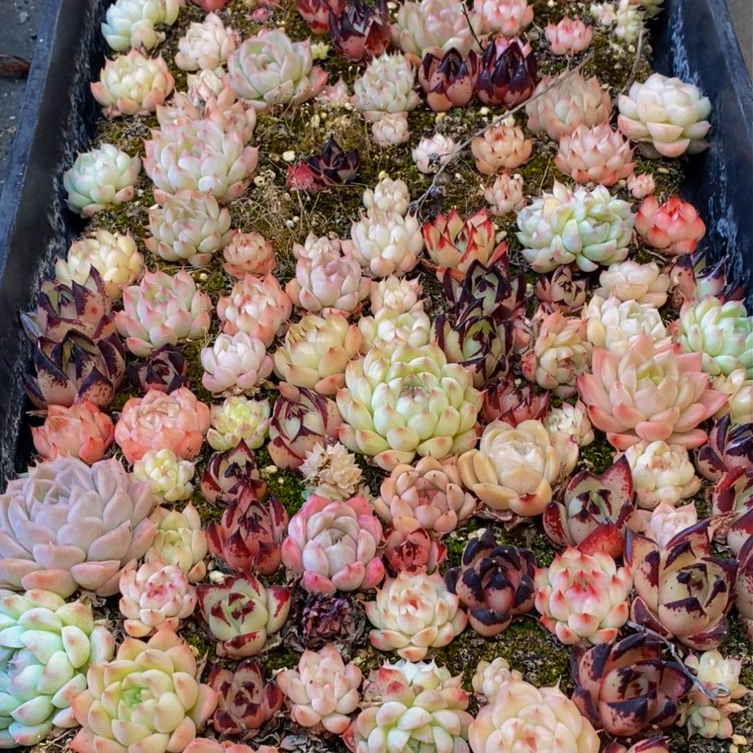 227的人在一起的时候就