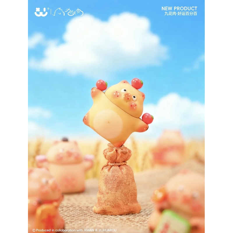 【拆盒】阿玛莉莉丝联名Lucky RORO九花肉-好运百分百系列潮玩盲盒